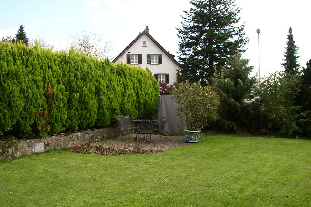 Before image