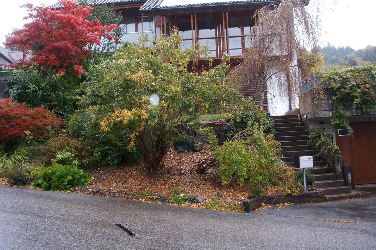 Before image