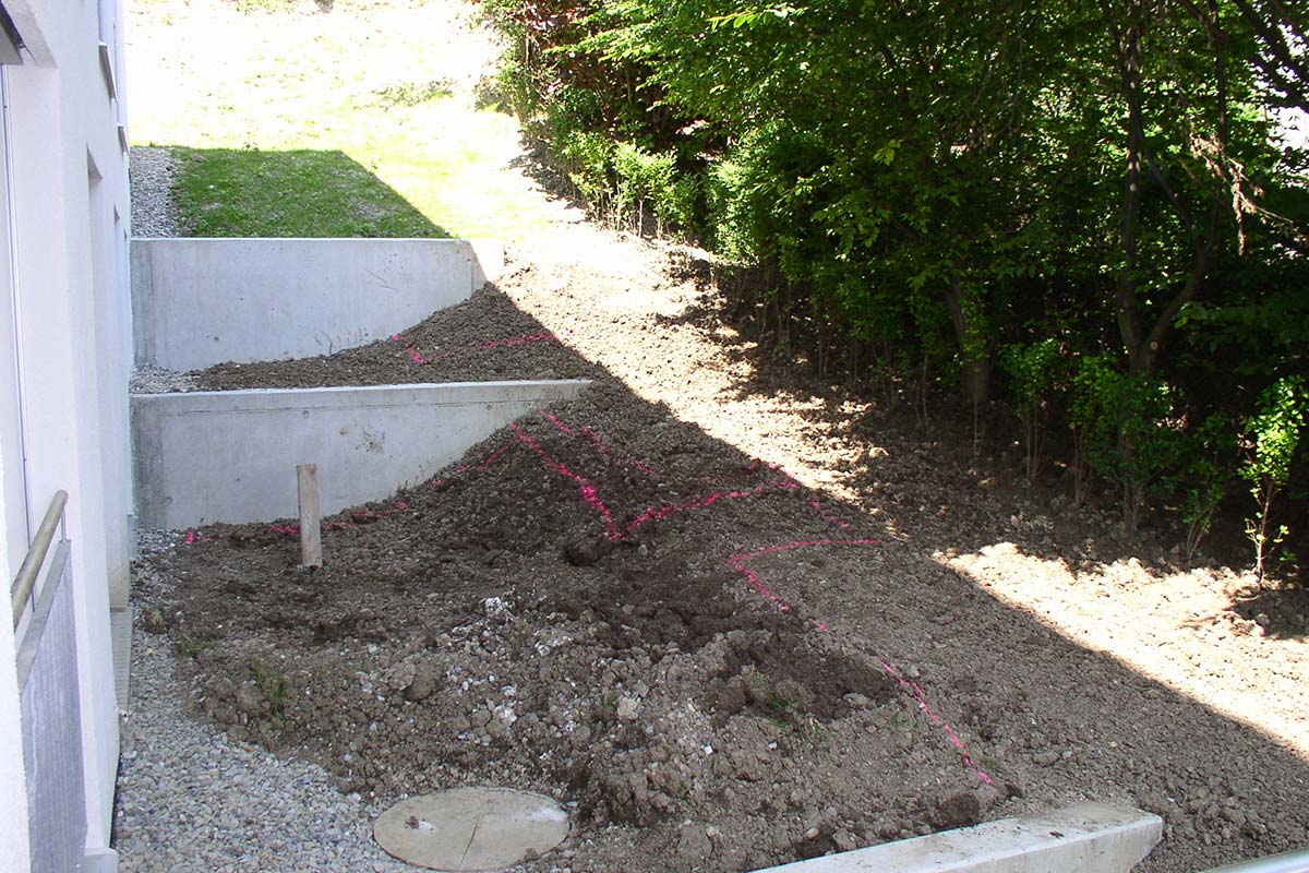 Before image