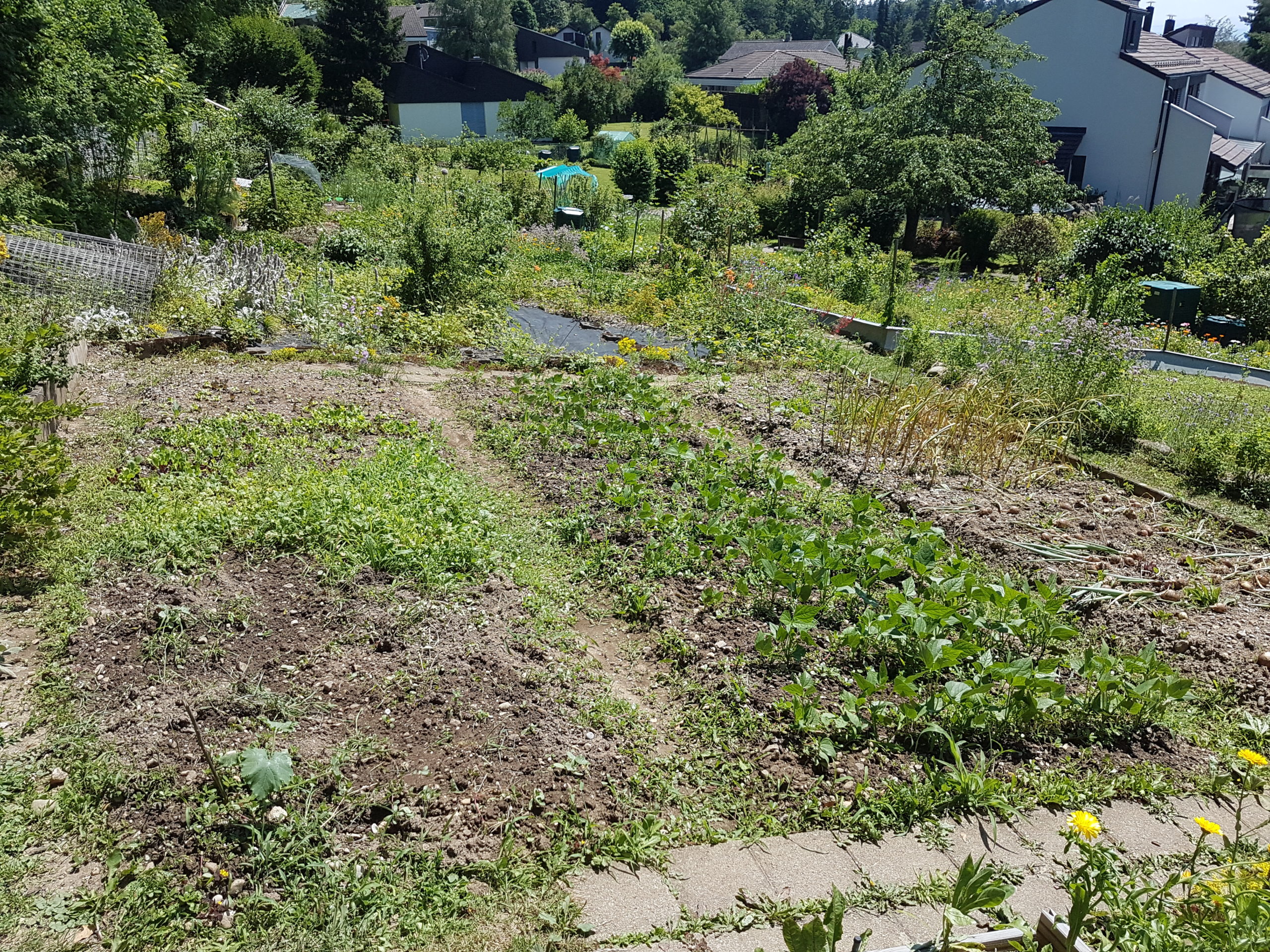 Before image